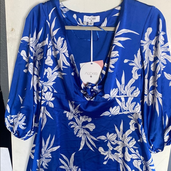 Alexis Dresses | Alexis Blue And White Floral Dress | Color: Blue/White | Size: S | Pm-90211676's Closet